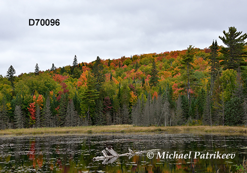 Algonquin Provincial Park, Ontario